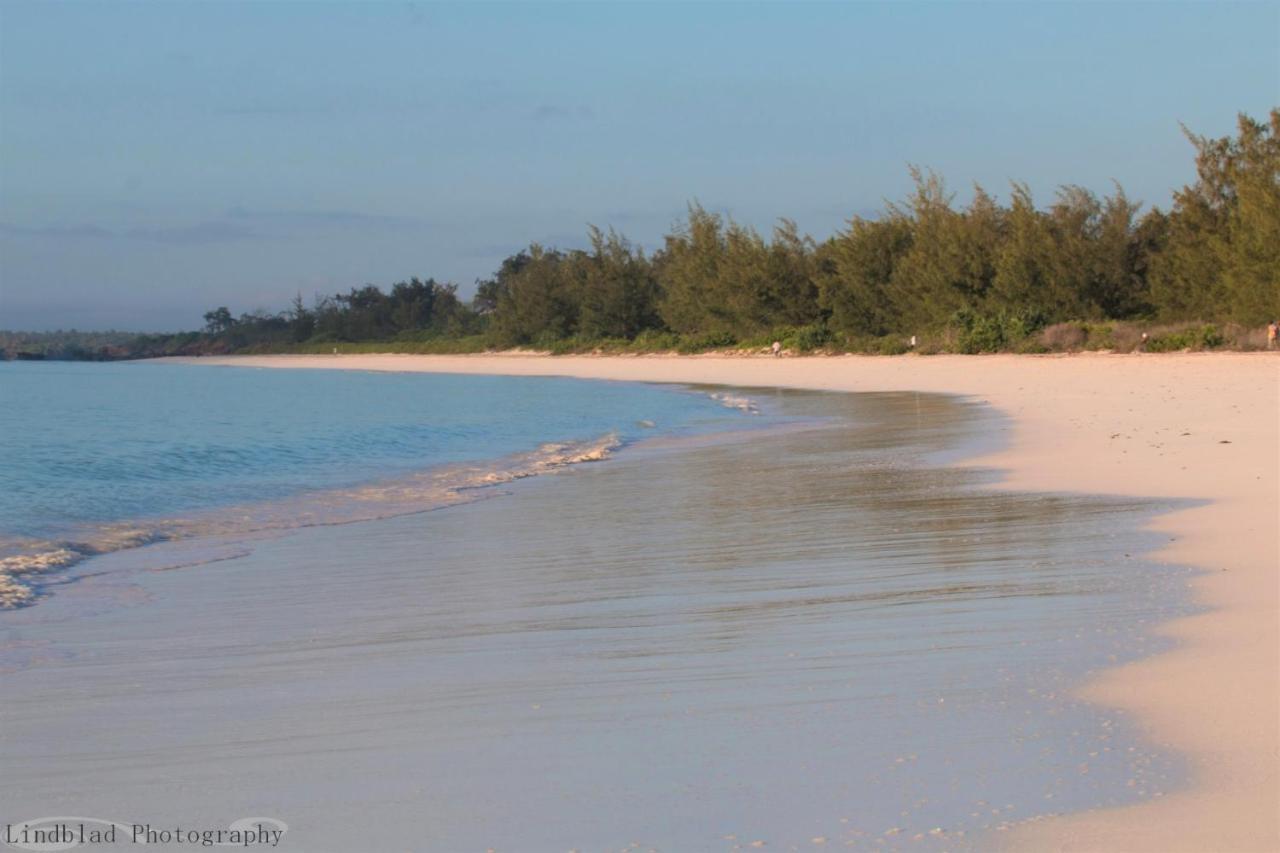 A Rocha Eco-Lodge & Conservation Centre Watamu Exterior photo